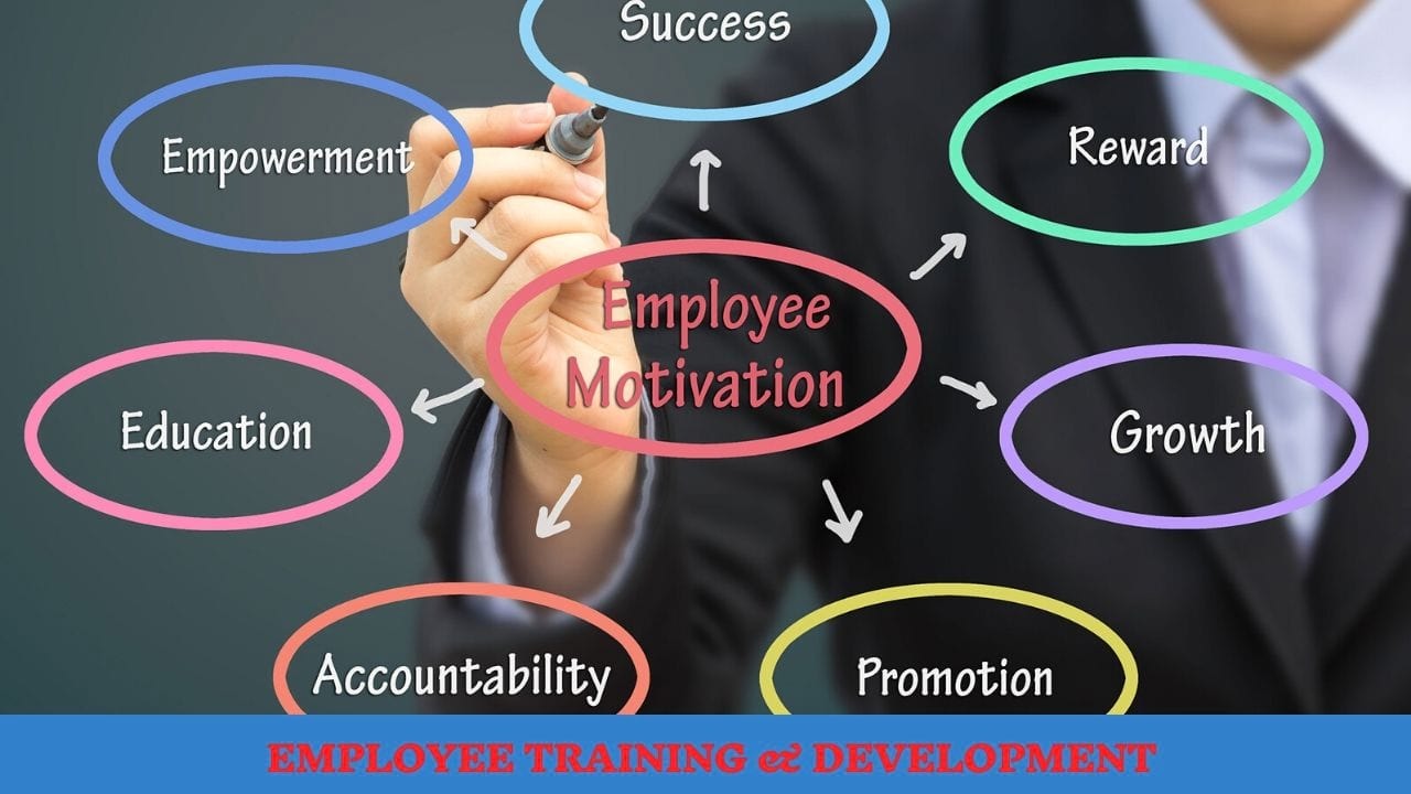 employee training and development